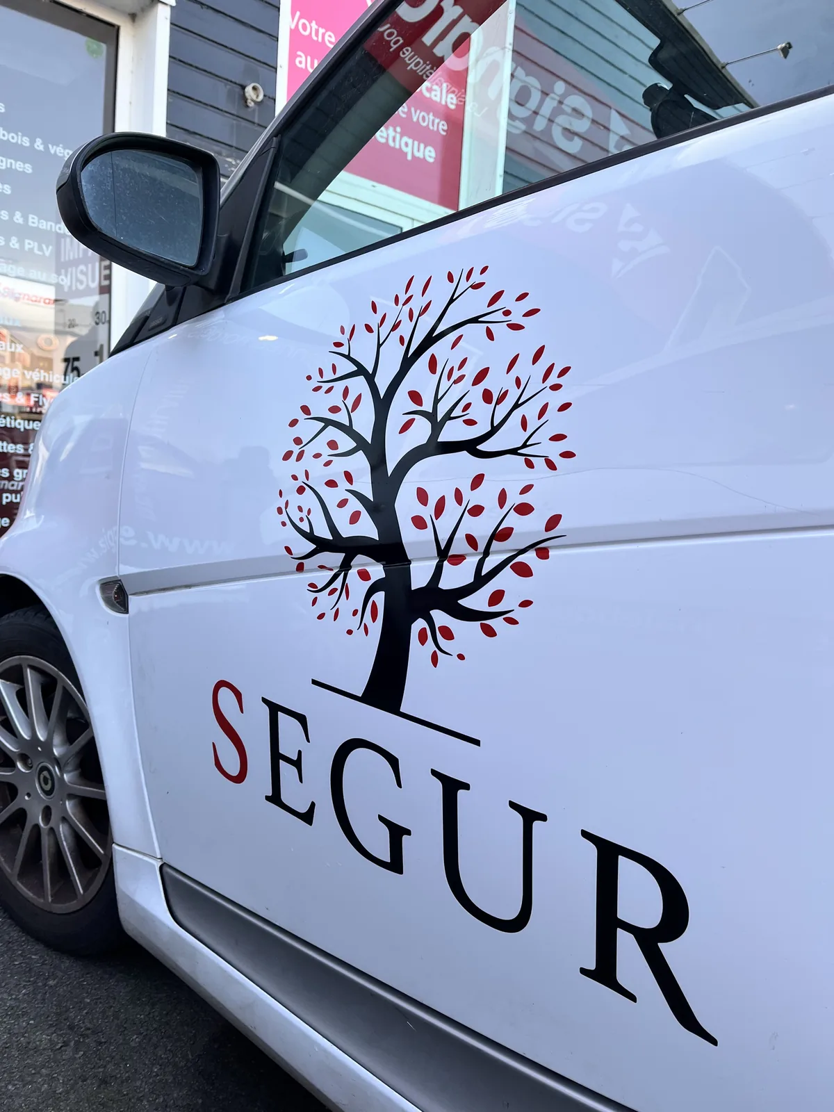 Lettrage logo arbre Segur sur véhicule Rennes